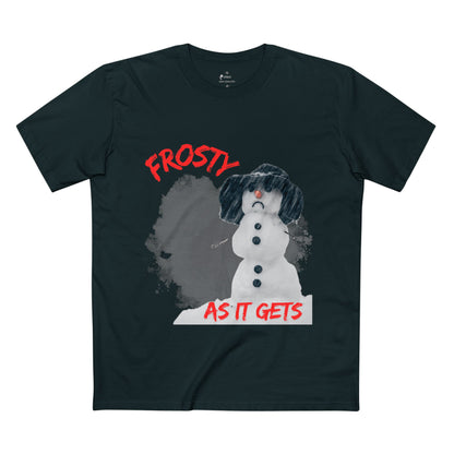 ✅ AU/NZ/AS COLOUR 5001 /Frosty Humour Tee - Funny Winter Shirt, Snowman Gift, Holiday Apparel, ANY Season! It’s FROSTY TIME!
