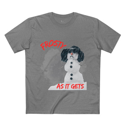 ✅ AU/NZ/AS COLOUR 5001 /Frosty Humour Tee - Funny Winter Shirt, Snowman Gift, Holiday Apparel, ANY Season! It’s FROSTY TIME!