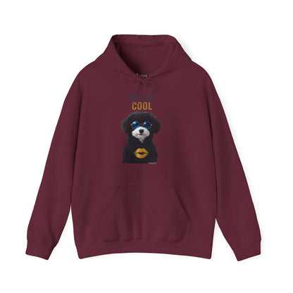 ✅ AU/NZ Stay Cool Dog Hoodie, Unisex Heavy Blend Sweatshirt, Pet Lover Gift, Cool Canine Apparel, Cozy Dog Hoodie, Dog Lover Sweatshirt, Jabu’s Brand Ambassador!
