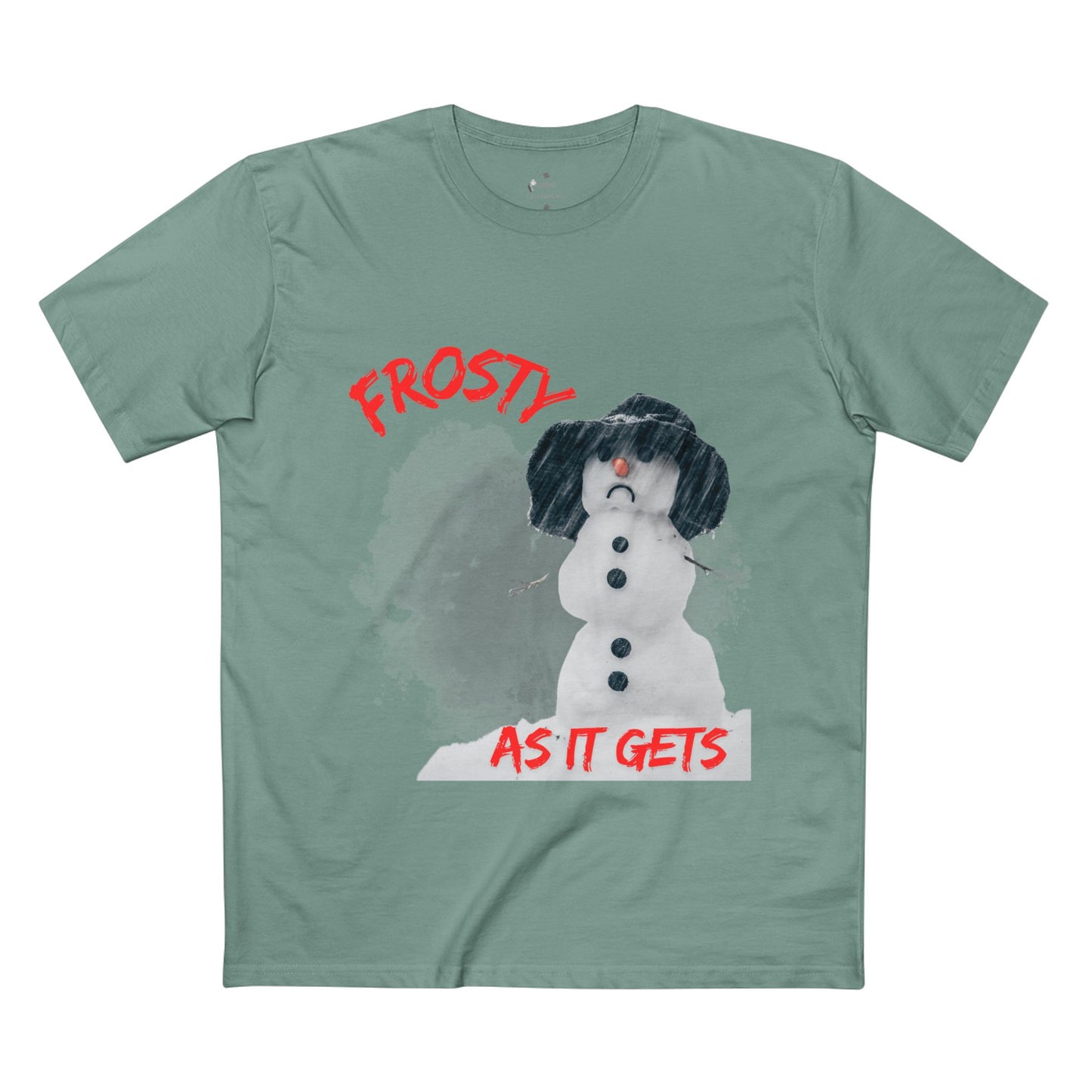 ✅ AU/NZ/AS COLOUR 5001 /Frosty Humour Tee - Funny Winter Shirt, Snowman Gift, Holiday Apparel, ANY Season! It’s FROSTY TIME!