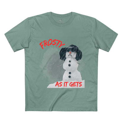 ✅ AU/NZ/AS COLOUR 5001 /Frosty Humour Tee - Funny Winter Shirt, Snowman Gift, Holiday Apparel, ANY Season! It’s FROSTY TIME!