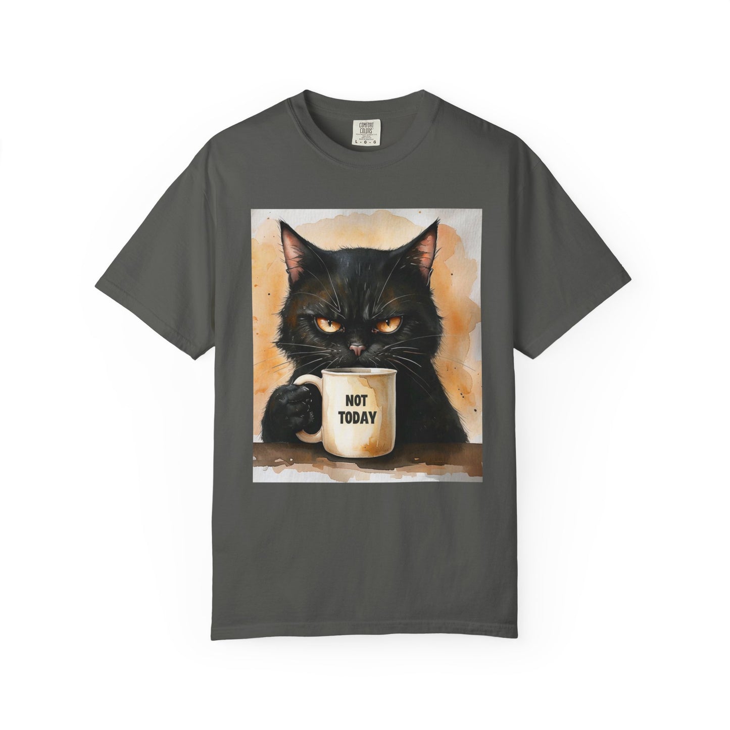 ✅ AU/NZ Funny Cat Graphic T-Shirt – "Not Today”