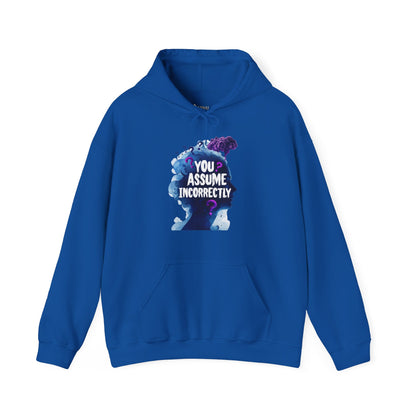 ✅ AU/NZ  Assume Incorrectly Unisex Hoodie - Thought-Provoking Graphic Sweatshirt- You Assume!